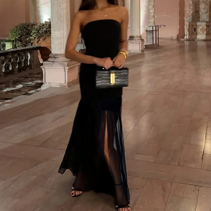Black Sleeveless Tube Neck Elegant Mesh Long Dress, Front
